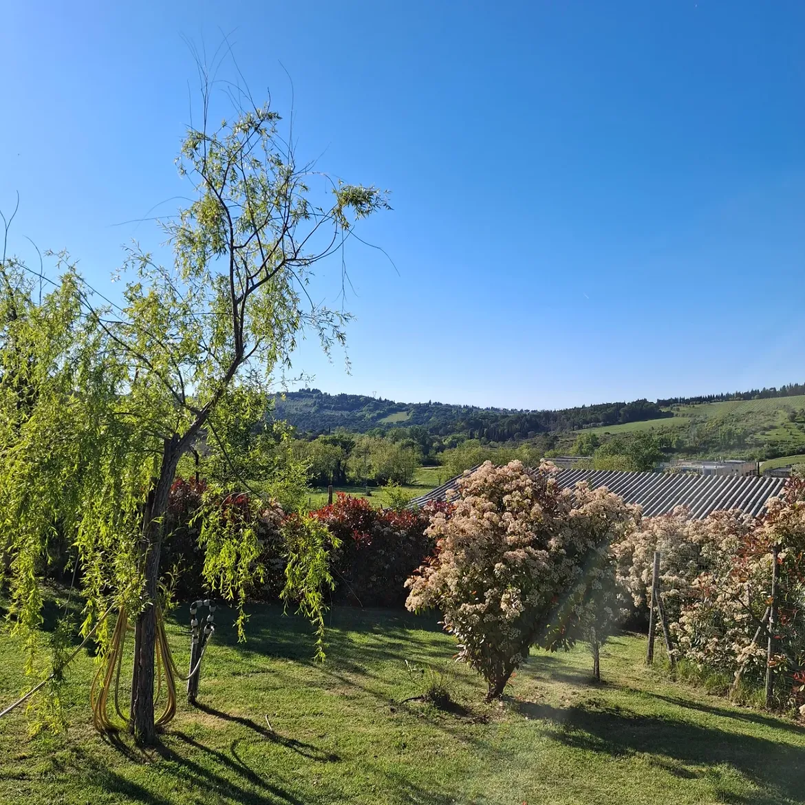 Vista sulle colline del Chianti dal giardino del Ranch